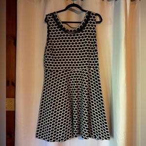 Pixley Navy Blue & White Dress